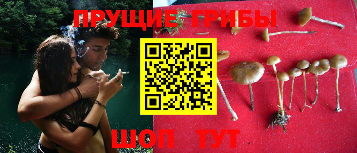 Зеленодольск  Галлюциногенные грибы мухоморы  Псилоцибиновые грибы прущие грибы  Вход с VPN 